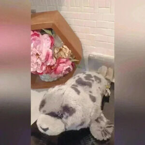 Wild  Republic Spotted Gray Harbor Seal Plush Stuffed Animal Toy 14"